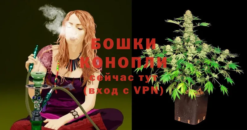 mega как войти  Богородск  Марихуана THC 21% 